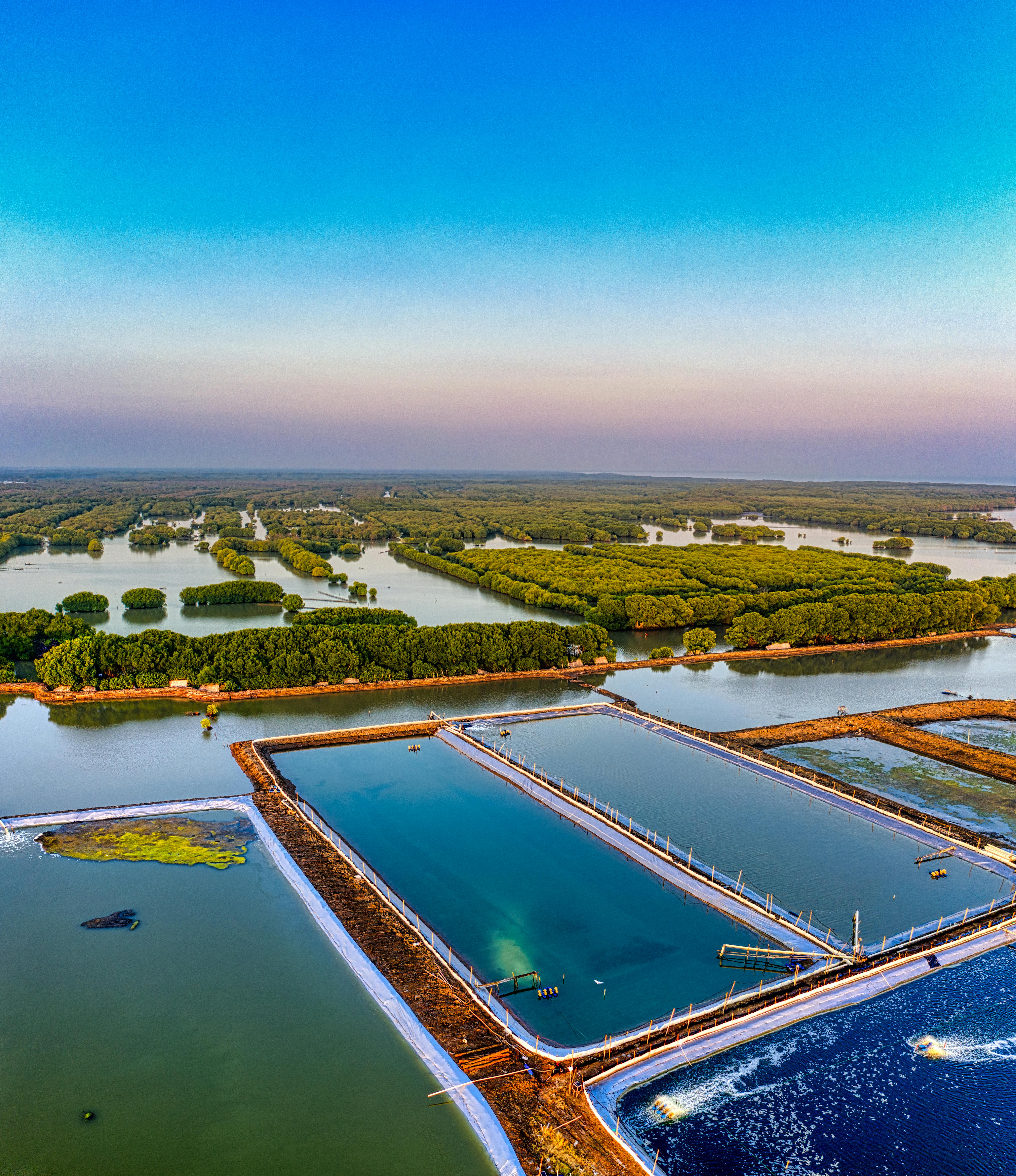 Project preview: Green Scope